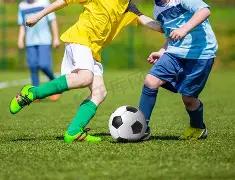 宝威体育,产品,宝威体育官方,宝威体育官方,宝威体育在线官网,宝威体育线上,宝威体育APP