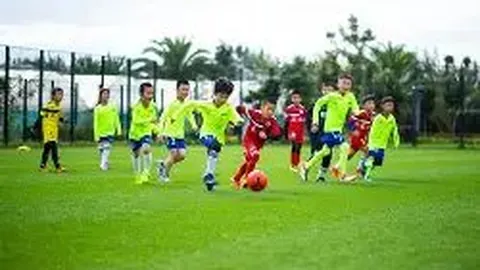 宝威体育 产品 091951 rb6